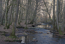 Bernhard Saalfeld - Dhuenn (2v9)